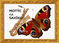 Music - Motýľ na saxíku